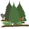 icon (4).png
